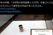 【画像】美大の中国人留学生、とんでもない作品を作ってしまいネットで議論にｗｗｗｗ