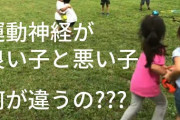 「公園が少ないから子供の運動神経が低下する」←これ