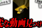 【鳥肌】2chに投稿され物議を醸した『たった3秒の動画』が怖すぎる…