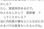 【画像】女医さん「旦那の職業でマウントってw」ニート女さん「ブスww」