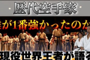 史上最強の空手家は誰か？佐竹雅昭、アンディフグ、フィリオ、シュルト、ペタス、武蔵、八巻建志、数見肇、大山倍達、松井章圭