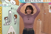 【GIF有】御手洗菜々アナ、ニットを着て乳を強調させてしまう