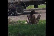 酔っぱらった素っ裸の女がトラックの運転手に絡んでいますｗｗｗ