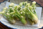 【画像】　野菜の天ぷら界の最高峰って「タラの芽」だよな