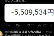 大物YouTuber「550万円損切りするわ」→「損切りしなかったら-1000万円だった…」