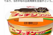 【悲報】プッチンプリン、5月中旬まで出荷停止ｗｗｗｗｗｗｗ