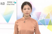【画像】NHK桑子真帆アナのおっぱいのハリが凄いのでアール