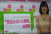 【画像】ＮＨＮ「“支払わないと裁判”は詐欺だよ！」