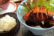 カツ丼、天麩羅丼、鉄火丼、親子丼、ビフテキ丼…。あらゆる「丼料理」で一番メシが進むのは…
