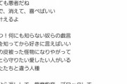 【悲報】元AKB岡田奈々ちゃん作詞の曲、色々とやばくて炎上