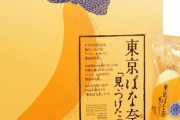 【速報】東京ばな奈、全国デビュー決定!!!!