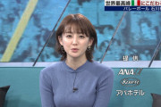 【フジテレビ】宮司愛海アナの乳でけええええええええええ