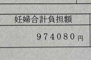 【画像】日本の妊娠・出産、ガチで金持ちの道楽だったｗｗｗ
