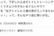 【悲報】ツイフェミさん、今度は2歳児にキレるｗｗｗｗｗｗｗ