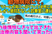 【２chスレ】【なごむ】動物病院にて。ラブラドールが待合室に入った瞬間、床にへばりついた。抵抗むなしく診察室に連行。その後、憔悴しきって出てきたが、治療内容を聞いて笑ったw