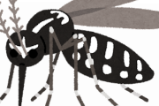 【意外】蚊を最近見ない理由がコレｗｗｗｗｗｗ