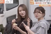 【画像】おっぱい星人、右を選んでしまうｗｗｗｗｗｗｗｗｗｗｗｗｗｗｗｗｗｗｗｗｗｗｗｗ