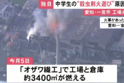 中学生「ハチの巣や！火炎放射器で燃やしたろ！」 → とんでもない自体に…