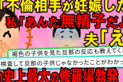 【2chスレ】旦那がプリンちゃんを妊娠させた。プリンちゃん曰く「真実の愛を邪魔しないで」って。旦那とプリンちゃんには制裁して、旦那が無精子症って証拠をプレゼントしてあげた。それ以前に【ゆっくり解説】