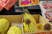 【朗報】台湾産パイナップル、芯までいただけると大好評ｗｗｗｗｗｗ