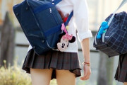 こんな感じの女子高生に発情するやつっているか？ｗｗｗｗｗｗ