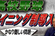 【高校野球】日本高野連が公式HP上で７イニング制に関するアンケートを開始　賛成か反対か、その理由や意見を募る