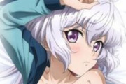 【画像】シンフォギアの女の子が裸で添い寝してくれるえちえち抱き枕カバーwww