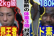 【悲報】ミニマム級世界王者さん、その辺の運動経験なしの普通体型のおっさんに瞬殺されるｗ