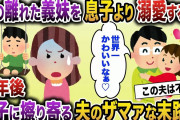 【2ch スカッと】年の離れたコトメを自分の息子より優先する夫→数年後、コトメが事故に遭い、車椅子生活になった結果…【ゆっくり解説】