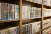 わい「この漫画すき！」ぽまいら「作者がクソだからダメ」←ファッ！？関係ないやろ！
