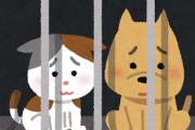 【幸せの裏で･･】ペットショップの犬猫の末路・・・・・・