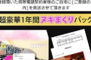 【悲報】1年間ヌキまくりパック、まだ届かない