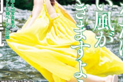 【朗報】吉岡里帆さん、また水着にされてしまう