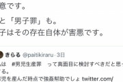 【画像】フェミニストさん、男子を産むことは強姦幇助だと主張「男子罪」制定へ
