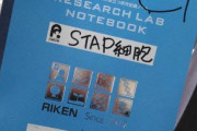 小保方晴子さんの実験ノートがこちら
