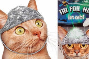 【朗報】 ネコ用アルミホイル、爆誕ｗｗｗｗｗｗｗｗｗｗ