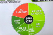 【唖然】『手取り23万円』の生活がコレ…→やっぱ日本終わりすぎやろ…