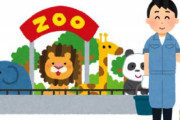 動物園の飼育員だけど質問ある？