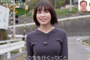 【画像】森七菜さん、かなり立派な乳房を隠し持っていた！