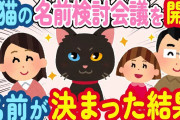 【2ch ほのぼの】黒猫ちゃんを拾ったから名前検討会議を家族で開催！家族全員の希望をすべて取り入れた名前がかわいすぎて…