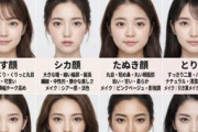 【画像】まんさんの顔のタイプ、だいたいこの16通りに落ち着く