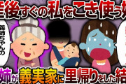 【2chスカッと】娘を出産後すぐに私をこき使う姑→義姉が義実家に里帰りをしにきた結果【スカッとする話】