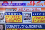 【ええ】海外「日本の食い方はブタみたい、トイレを流してるの？?」