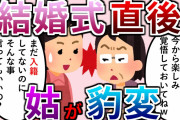 【2chスカッと】トメ「あなたは息子と結婚してここの家の人間になったのよ！」私『残念でした。まだ籍入れてません』トメ「えぇ？」入籍してたら一生いびりたおされたかと思うと・・・【ゆっくり解説】