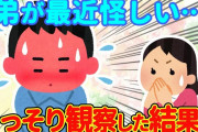 【2chほっこり】思春期の弟の行動が怪しすぎる→こっそり観察してみたら…【ゆっくり】