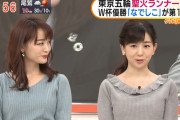【画像】新井恵理那アナのニットおっぱいエロ過ぎるｗｗｗｗ