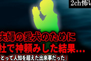 【2ch怖いスレ】兄夫婦の愛犬のために神社で神頼みした結果…「俺にとって人知を超えた出来事だった」【ゆっくり解説】