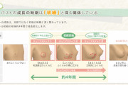 【画像】ワコール「おっぱいが膨らむ過程を解説します」