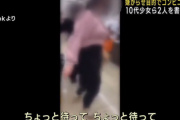 【画像】「バズらせたかった」路上生活者への嫌がらせ動画で10代少女を書類送検！奢ると装いホームレス女性をコンビニに置き去りし、建造物侵入容疑！ネットで「理解できない」の声