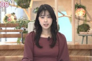 【画像】NHK嶋田ココｱﾅ、胸がパンパンに張っててエッチｗｗ